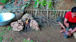 2.1K views · 59 reactions | Puppies and monkeys - Mother and Daughter finds frogs and snails cook - Eating delicious | Galvin Planet | Facebook