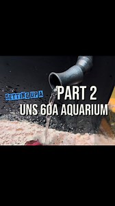 You guys seemed to enjoy Part 1 of setting up the Ultum Nature Systems 60A All-In-One aquarium, so here is the second instalment. Some mature Polyplab media from another display, Fritz Aquatics turbo-start 900, then Macron Algae, Filter Feeders and good old clean-up crew. Whats not to love! #reeftank #nanoreef #reeftankofinstagram #fishtank #aquascaping | Charterhouse Aquatics