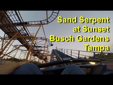 Sand Serpent Roller Coaster On Ride HD POV at Sunset Busch Gardens Tampa