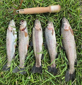 Maple Hand-Fishing Reel & Hand-Line Fishing Kit | Daggerfish