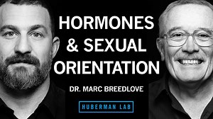 How hormones shape sexual orientation & behavior | Dr. Marc Breedlove
