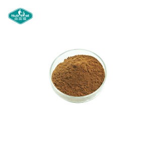 [Hot Item] Factory Supply Salicin Extract Salicoside Salicin Powder White Willow Bark Extract Powder