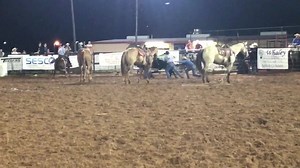 Lil Cow Milking 🐮 | JW Hart / Hart Cattle Company