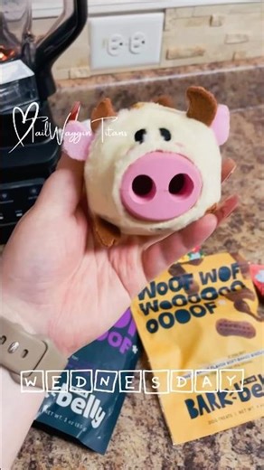 Our packs monthly bark box🐾 #barkbox #barkboxunboxing #barkboxday #dogsofyoutube #dogmom #dogtoys