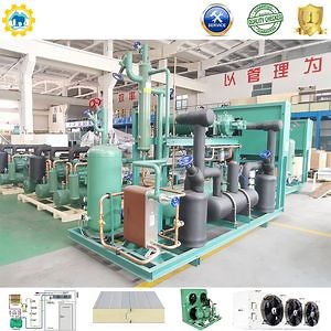[Hot Item] Multi-Compressor Condensing Unit Screw Compressor Scroll Compressor