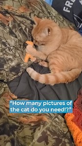 Don’t lose the photos on your phone! Print them for free. Get 500 FREE 4x6 photo prints.No subscriptions, no commitments.Just pay delivery. | FreePrints UK & IE