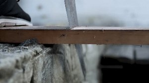 Sawing Log Hand Saw Cutting Tree: Stockvideos & Filmmaterial (100 % lizenzfrei) 3757465737 | Shutterstock