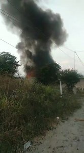 2.1K views · 18 reactions | Felix Fox on Reels | Facebook