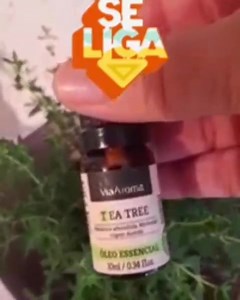O Óleo de Melaleuca (TeaTree) é um agente imunoestimulante, cicatrizante, antibacteriano, antisséptico e antifúngico . . Sua aplicação contempla centenas de possibilidades de rituais cosméticos e terapêuticos. . Os ácidos contidos no Óleo de Melaleuca são três vezes mais potentes que outros ácidos utilizados para matar fungos e bactérias. . Produto 100% Puro e Natural, não possuem qualquer adição de corantes, conservantes ou complementos de fragrâncias. . Dicas de uso Para acne: Com um cotonete,