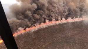 Summer is on its way and it's predicted to be hot, dry and full of bushfire warnings. You can help protect our wildlife from the devastating effects of wildfire by donating today. | Australian Wildlife Conservancy