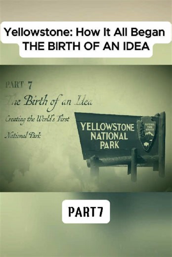 Wild History on TikTok