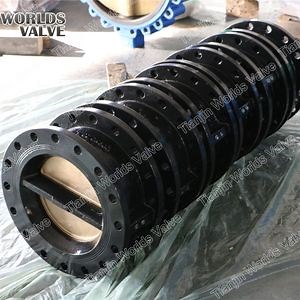 [Hot Item] ANSI/DIN/JIS Double Flange Swing Check Valve Non Return Valves