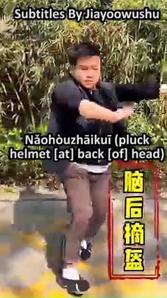 Baguazhang Applications | Jiayoo Wushu