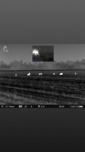 Southern Hog Control on Reels