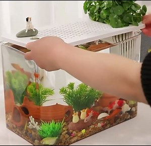 Transparent Turtle Tank Aquarium - Desktop Display, Betta & Square Fish Tank, Small Aquariums & Bowls, Pet