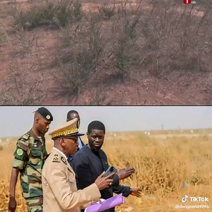 18 reactions | Sénégal: No comment | Journal La Nouvelle | Facebook