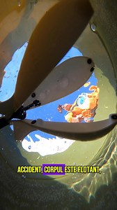 Cu un corp super aerodinamic, Wolf Tri-Spod X Competition, disponibila acum pe rafturile Claumar Pescar dar si pe claumarpescar.ro! https://claumarpescar.ro/racheta-de-nadire-wolf-tri-spod-x-competition-m-white.html #claumarpescar #wolfint #fishing #spod #fishingtiktoks #catchandrelease #pescuit #viraltiktokvideo #pescuit #carp #fyp | Claumar Pescar