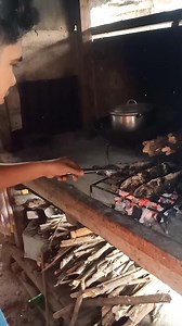 Nag sugba kita sang isda nga dalag (Halo-an) .. | Bislokano TV