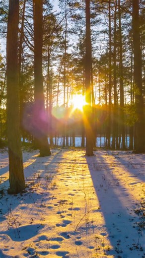 69 reactions · 4 comments | Last call to join the Winter Solstice get...