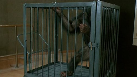 Link.1986.DVDRip.cast