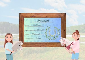 Plaque signalétique d'écurie Hobby Horse + téléchargement numérique à imprimer vous-même, superbes accessoires Hobby Horse | Équitation de loisir - Etsy France