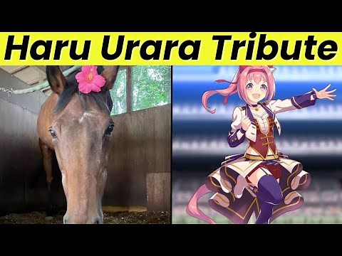 Haru Urara Death - The Racehorse Who Inspired Millions