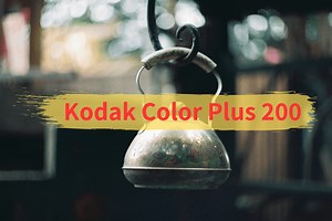 【35ｍｍフィルムレビュー】黄色の暖かさが光る「Kodak Color Plus 200」