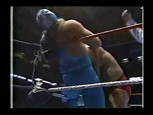 WWF - Blue Blazer vs. Greg Valentine 4-22-1989