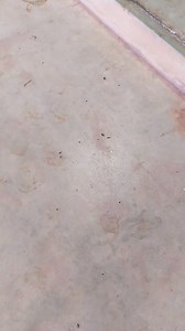 Fielding JayA on Reels