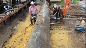 Epic Sinker Cypress Log Pulled From River Bottom On The Sawmill! | Out of the Woods Forestry