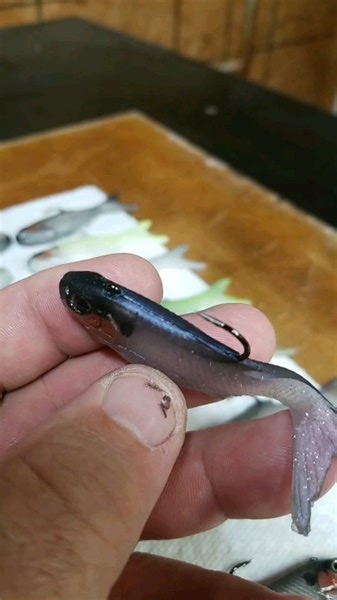 Working on colors... 🔥 #316LURE #swimbait #swimbaits #glidebait #glidebaits #bass #bassmaster #smallmouth #spottedbass #topwater #weedless #bigbait #JESUSSAVES ##doublehashtagJesussaves #jesuslovesyou | 316 Lure Company