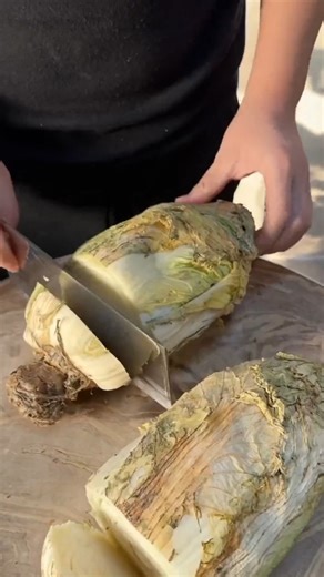 How to Chop, Slice, and Wow with Veggies Cabbage! #KnifeSkills #Foodie #CreativeCooking #cabbage | Kimberly Lunsford