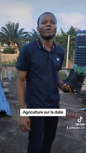 108K views · 1.6K reactions | Plus de 900 pieds de tomates, de choux et d'haricots verts sur la dalle. Voici la technique  #benin #agriculture #cotedivoire #senegal #motivation #Afrique #Cameroun #entrepreneur #entrepreneurlife #RDC | AgriServices | Facebook