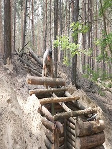 7 day building underground bushcraft shelter , hot oven , hands tools , no talking #bushcraft #survival #camping #outdoor #nature #outdoors #hiking #knife #adventure #edc #bushcrafting #bushcraftgear #hunting #woodsman #forest #knives #wilderness #handmade #outdoorlife #bushcraftknife #survivalist #survivalskills #campfire #bushcrafter #survivalgear #camp #knifeporn #trekking #prepper | Bushcraft Survival Cambo