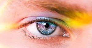 The Hare Psychopathy Rating Scale - yes, therapy helps!