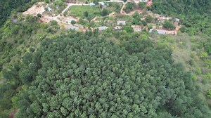 2.6K views · 96 reactions | Aviyana - A True masterpiece that will showcase Sri Lankan Luxury ! #luxurytravel #SriLanka #travelsrilanka #nature #meditation #luxurydestination | Aviyana Private Chalets | Facebook