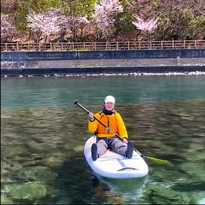 SUP cruising with healthy buffet lunch hot spring / Hokkaido Chitose https://hokkaidoxpert.com/products/sup-cruising-with-buffet-lunch-hot-spring-chitose Lake Shikotsu SUP cruising allows you to enjoy leisurely cruising in the majestic scenery of Mt. Eniwa, Mt. Tarumae, Mt. Fuppushi and caldera lake. Because of its outstanding transparency, you can see a sheer cliff-like scene called "columnar joints" under the surface of the water while cruising. This is one of the highlights of Lake Shikotsu S