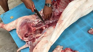 clip-16891891-ukraine-orthodox-church-christmas-tradition-kill-pig