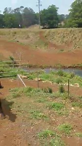 Pegasus Park Equestrian Centre on Reels