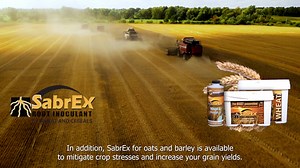 BioTryke, all natural biological seed treament developed to improve plant health and enhance growth! Seamlessly integrated! | Agri-Cal USA, LLC