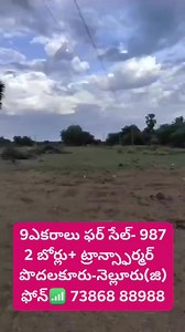 1.5K views · 258 reactions | 9ఎకరాలు ఫర్ సేల్- 987 2 బోర్లు+ ట్రాన్స్ఫార్మర్ పొదలకూరు-నెల్లూరు(జి) ఫోన్ 73868 88988 #land #nellore #medhanshi #transformers #nellorecity | R Madhav | Facebook