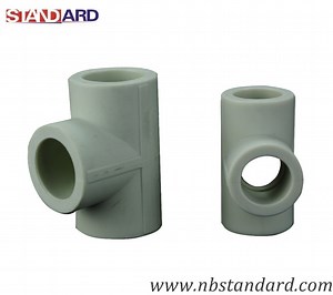 [Hot Item] PPR/Tee Fitting/PPR Pipe/PPR Fitting/Equal Tee/Tube