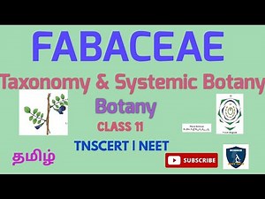Fabaceae in Tamil | Taxonomy & Systematic Botany I Botany I Class 11 | TNSCERT | NEET
