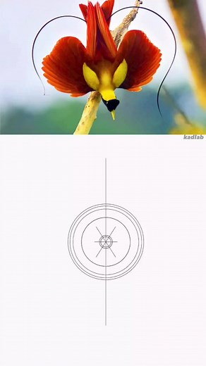 1.3K views · 16 reactions | Logo design ideas | Logo Design | Facebook