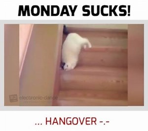 monday is a basic bitch! :D | Electronic Dance TV