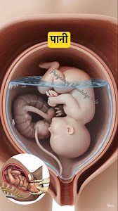 normal delivery Se kuch Ghante Pehle ke lakshan | #normaldeliverysymptoms #pregnancy | Pregnancy Knowledge Help