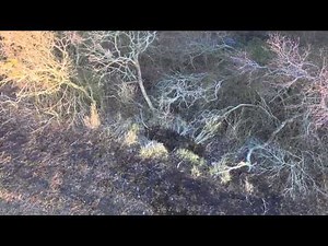 Cape Henlopen State Park Drone Footage
