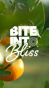 2.4K views · 39 reactions | The flavor of Florida in every bite Support #Yeson3 with the fresh taste of the sunshine state gummies! | Trulieve | Facebook