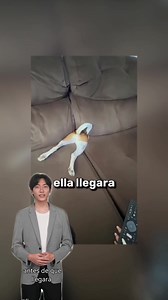 11K views · 76 reactions | Esa chica estaba jugando con su perro #viralreels #humanity #amor #rescue #share #animals | Cris | Facebook