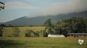 Polyface Farm is a mecca for sustainable food. The Salatins continue to refine their models to push environmentally-friendly farming practices toward new levels of expertise. | Virginia is for Lovers